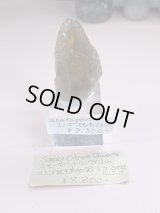 asatopon様専用 （2026/08/22 ライブ配信）