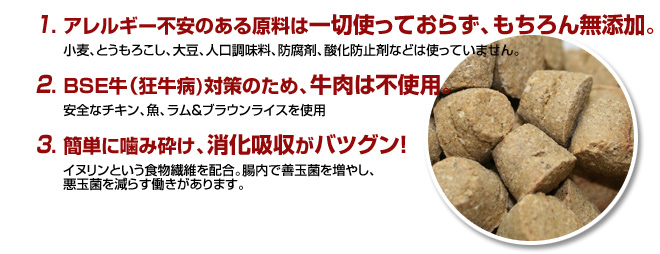 OPEN-BAKED ずっと楽しく愛犬と過ごす日々をサポートします