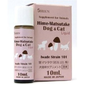 画像: 姫マツタケ(Hime-Matsutake) #犬 #猫 #小動物