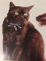 画像: さかな泥棒　カラー　（Ｓ、Ｍサイズ）猫用首輪　Ｃａｔ　Ａｍｏ．ｋ