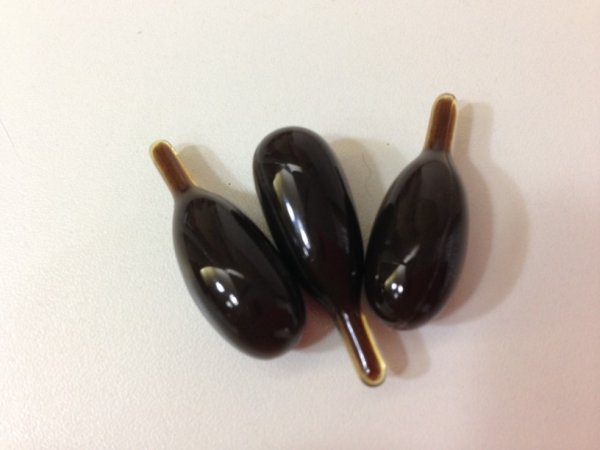 画像2: パインエナジー(松の実)60カプセル ペット用栄養補助食品ー免疫力強化と抗酸化作用に有効 #犬 #猫 #鳥 #ウサギ #エキゾチックアニマル (2)