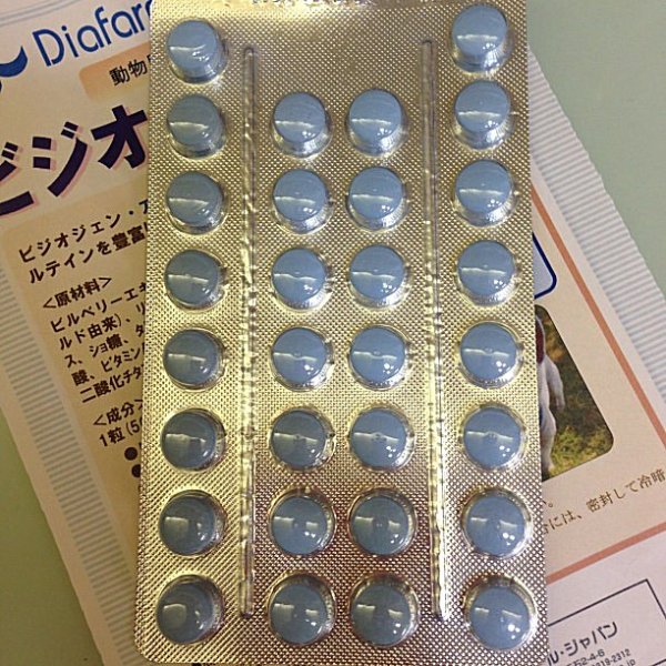 画像2: ビジオジェン　Eye care　30錠　動物用栄養補助食品 (2)