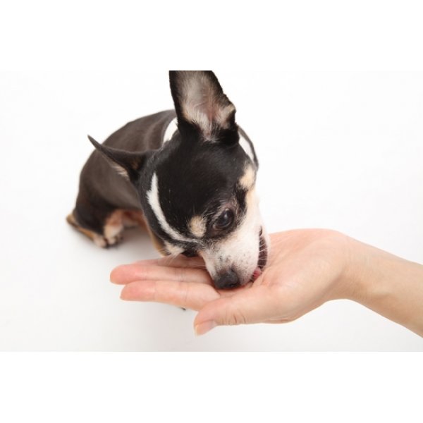 画像2: MediBall 投薬補助おやつ　犬用 ささみ味【1袋15個入り(約20ｇ)】 (2)