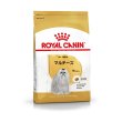 画像1: ロイヤルカナン　マルチーズ　成犬・高齢犬用 (1.5kg) (1)