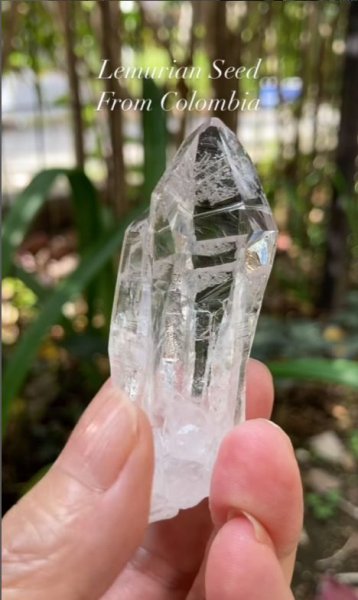 画像2: レムリアンシード　コロンビア産（Lemurian Seed From Colombia） (2)