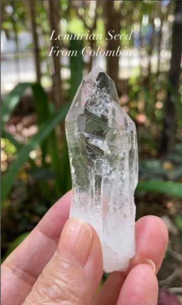 画像5: レムリアンシード　コロンビア産（Lemurian Seed From Colombia） (5)