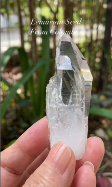 画像4: レムリアンシード　コロンビア産（Lemurian Seed From Colombia） (4)