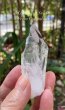 画像1: レムリアンシード　コロンビア産（Lemurian Seed From Colombia） (1)