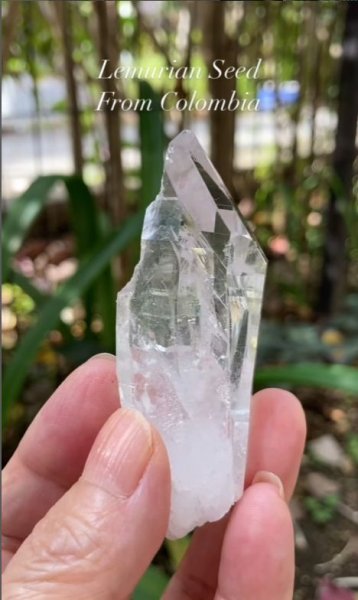 画像1: レムリアンシード　コロンビア産（Lemurian Seed From Colombia） (1)
