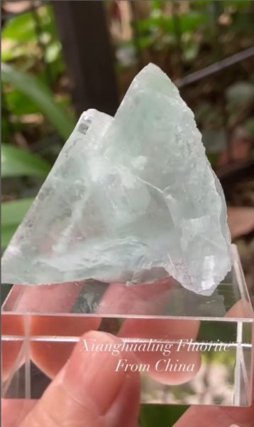 画像4: シャンファーリン フローライト　湖南省 中国産 (4)