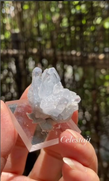 画像3: セレスタイト　マダガスカル産 (No.40) (3)