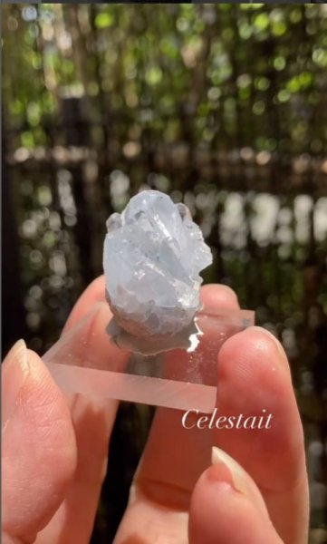 画像5: セレスタイト　マダガスカル産 (No.40) (5)