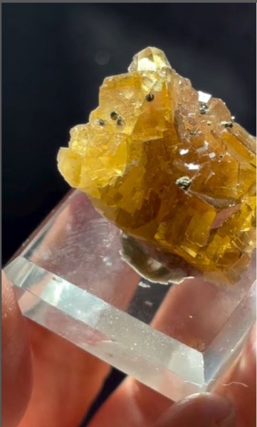 画像2: イエローフローライト　スペイン産（Fluorite Moscona Mine, Asturias, Spain） (2)