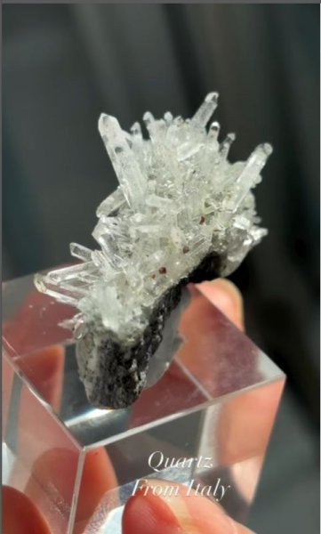 画像2: クォーツ　イタリア産（QUARTZ Genove Italy） (2)