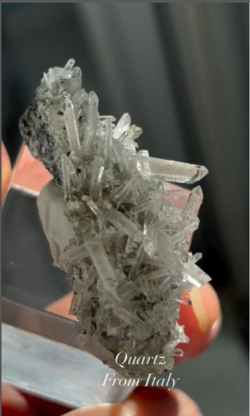 画像5: クォーツ　イタリア産（QUARTZ Genove Italy） (5)