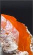 画像2: ウルフェナイト　アメリカ産（WULFENITE, Red Cloud Mine, Arizona, U.S.A.） (2)