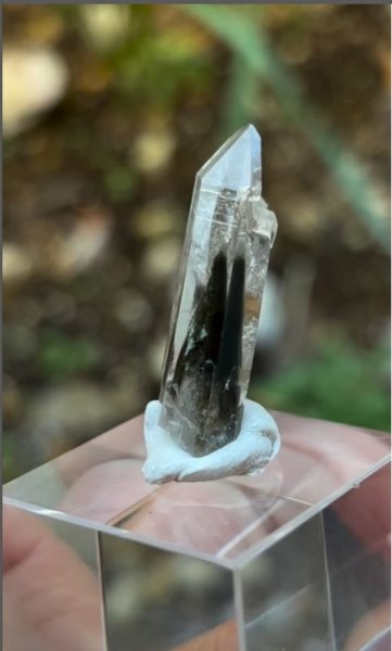 画像4: クォーツ アクチノライト トレモライト　マダガスカル産 ( Quarz Actinolite Tremlite, Ambalavao, Fianarantsoa, Madagascar ) (4)