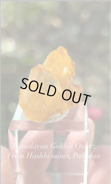 画像3: 【Taka様専用】Golden Quartz ゴールデンクオーツ　ハシュピ鉱山　パキスタン産 (3)
