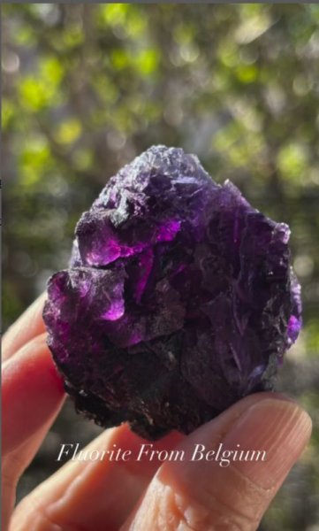 画像3: フローライト　ベルギー産 ( Fluorite, Boltry quarry, Seilles, Andenne, Namur, Wallonia, Belgium ) (3)