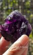 画像4: フローライト　ベルギー産 ( Fluorite, Boltry quarry, Seilles, Andenne, Namur, Wallonia, Belgium ) (4)