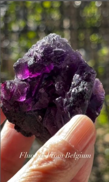 画像4: フローライト　ベルギー産 ( Fluorite, Boltry quarry, Seilles, Andenne, Namur, Wallonia, Belgium ) (4)