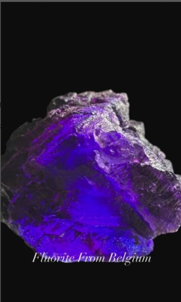 画像1: フローライト　ベルギー産 ( Fluorite, Boltry quarry, Seilles, Andenne, Namur, Wallonia, Belgium ) (1)