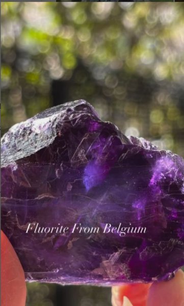 画像2: フローライト　ベルギー産 ( Fluorite, Boltry quarry, Seilles, Andenne, Namur, Wallonia, Belgium ) (2)