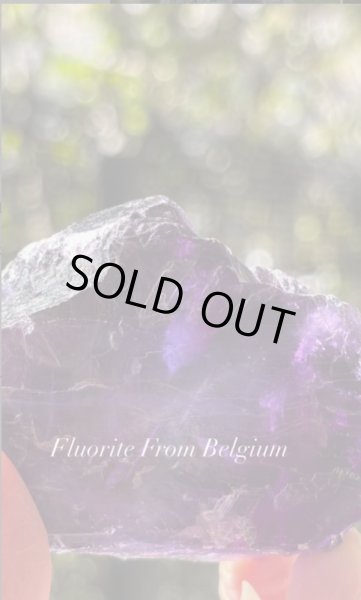 画像2: フローライト　ベルギー産 ( Fluorite, Boltry quarry, Seilles, Andenne, Namur, Wallonia, Belgium ) (2)