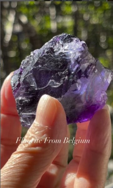 画像4: フローライト　ベルギー産 ( Fluorite, Boltry quarry, Seilles, Andenne, Namur, Wallonia, Belgium ) (4)