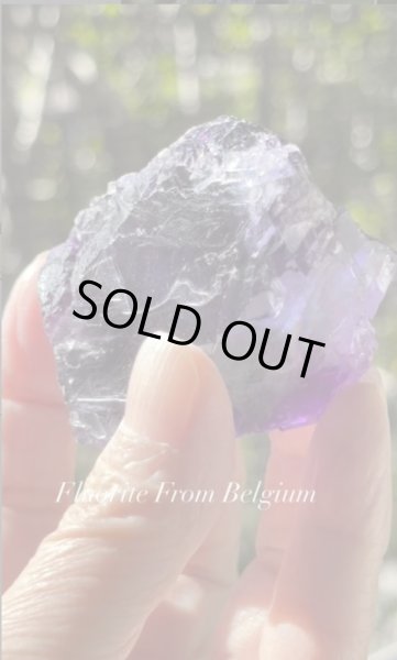 画像4: フローライト　ベルギー産 ( Fluorite, Boltry quarry, Seilles, Andenne, Namur, Wallonia, Belgium ) (4)