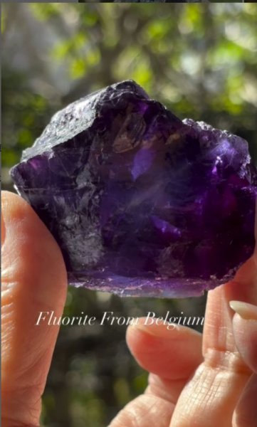 画像3: フローライト　ベルギー産 ( Fluorite, Boltry quarry, Seilles, Andenne, Namur, Wallonia, Belgium ) (3)