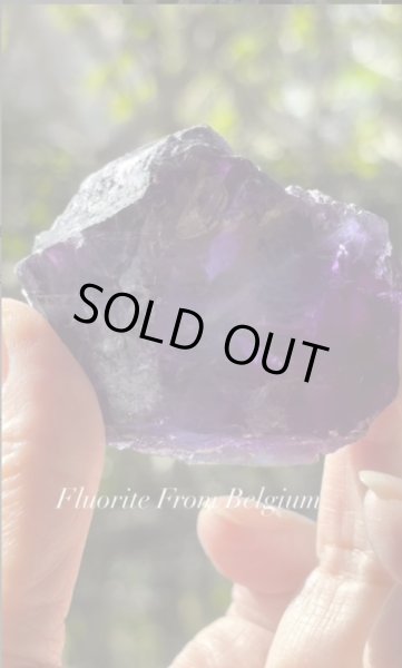 画像3: フローライト　ベルギー産 ( Fluorite, Boltry quarry, Seilles, Andenne, Namur, Wallonia, Belgium ) (3)