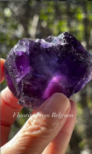 画像5: フローライト　ベルギー産 ( Fluorite, Boltry quarry, Seilles, Andenne, Namur, Wallonia, Belgium ) (5)