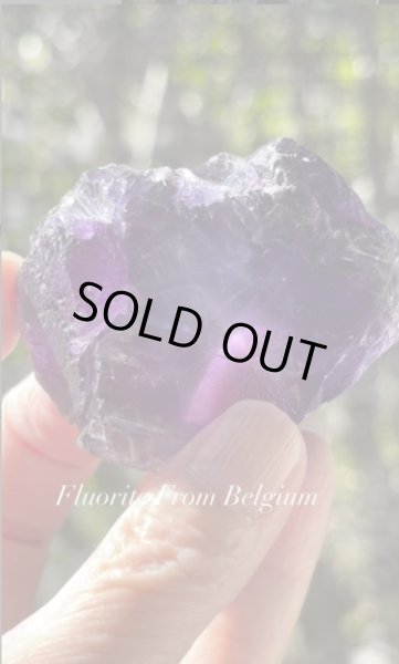 画像5: フローライト　ベルギー産 ( Fluorite, Boltry quarry, Seilles, Andenne, Namur, Wallonia, Belgium ) (5)