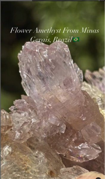 画像2: フラワーアメジスト マラカイト共生 ブラジル産?? (2)