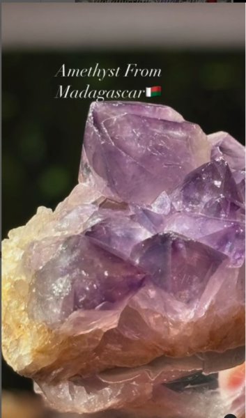 画像2: アメジスト　マダガスカル産 ドライゴーニック (2)