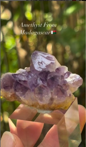 画像4: アメジスト　マダガスカル産 ドライゴーニック (4)