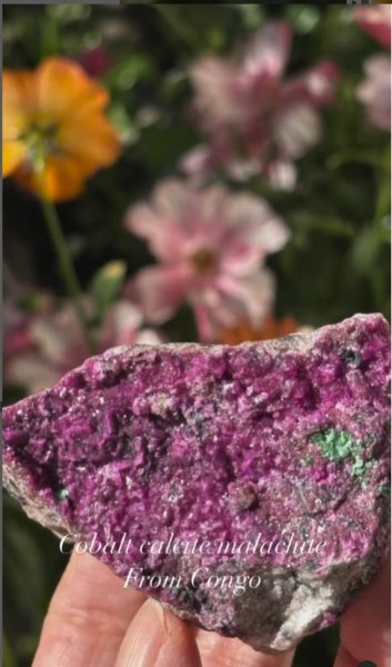 画像5: コバルトカルサイト マラカイト共生　コンゴ産 (5)