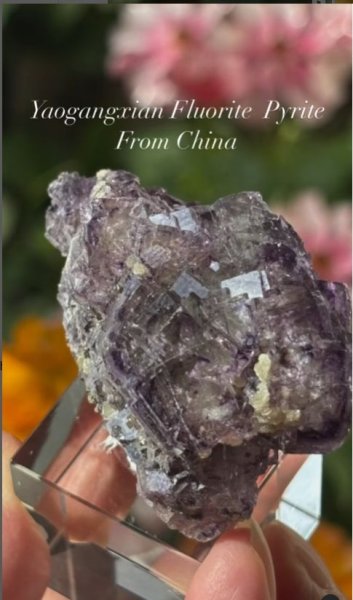 画像4: フローライト パイライト共生　湖南省 中国産 (4)