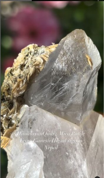 画像3: ヒマラヤンクォーツ マイカ ルチル共生　ネパール産 (3)