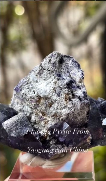 画像2: ヨウガンシャン フローライト パイライト共生　湖南省 中国産 (2)