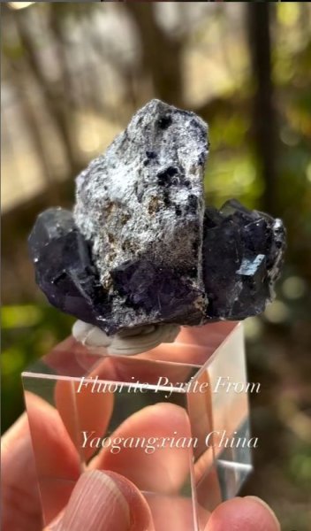 画像4: ヨウガンシャン フローライト パイライト共生　湖南省 中国産 (4)