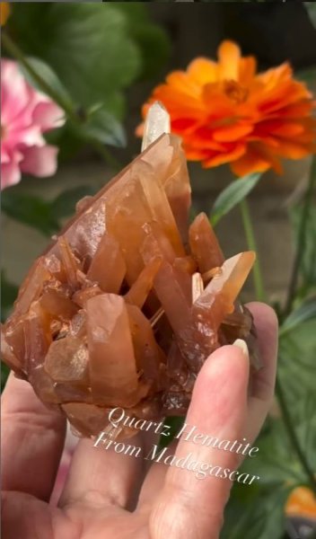 画像5: ヘマタイトクォーツクラスター　マダガスカル産 (5)