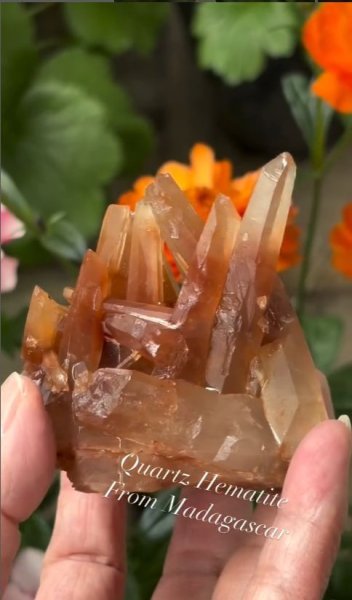 画像3: ヘマタイトクォーツクラスター　マダガスカル産 (3)