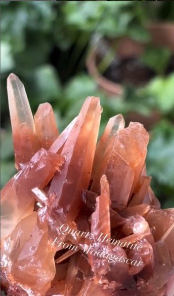 画像2: ヘマタイトクォーツクラスター　マダガスカル産 (2)