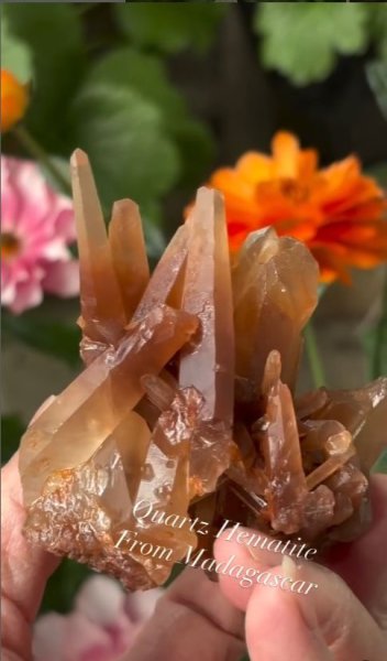 画像4: ヘマタイトクォーツクラスター　マダガスカル産 (4)