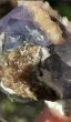 画像1: ヤオガンシャン フローライト ドロマイト 水晶、マイカ共生　ヤオガンシャン鉱山 湖南省 中国産 (1)