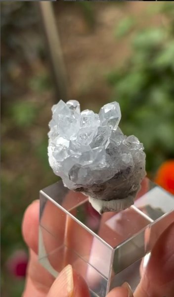 画像4: セレスタイト　マダガスカル産 (No.5) (4)