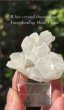 画像4: 白水晶クラスター　湖南省 シャンファーリン鉱山 中国産 (4)