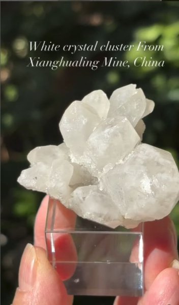 画像4: 白水晶クラスター　湖南省 シャンファーリン鉱山 中国産 (4)